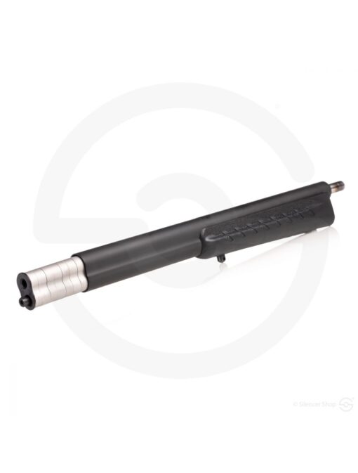 RUGER SILENT SR 10 22 TAKEDOWN2