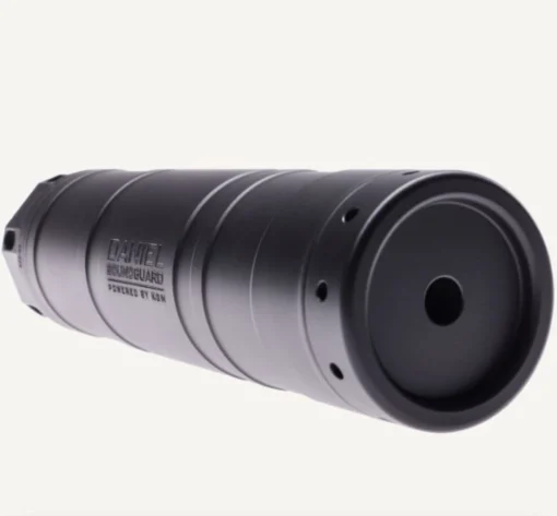 dd sg 556 alt1 1